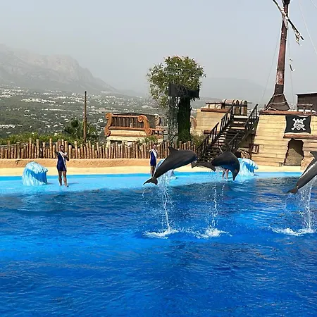 Apartamento La Reina By The Sea Alicante